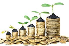 Minat Investasi Syariah? Simak Rekomendasi Berikut