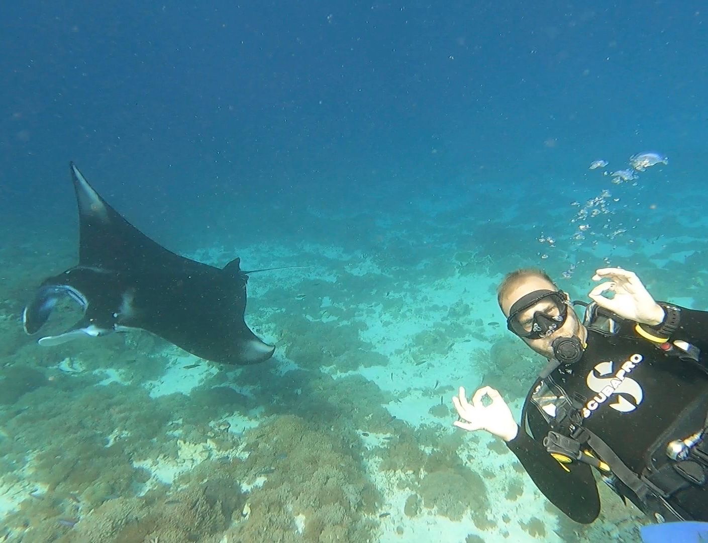 Seorang turis asing berpose dengan Pari Manta di perairan NTT.