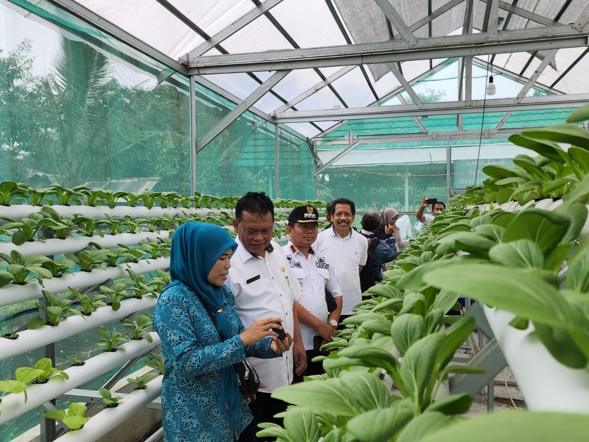 Sinar Mas Land melalui PT Bumi Serpong Damai Tbk menginisiasi program Kemitraan Pertanian Lokal (Local Farming Partnership). 