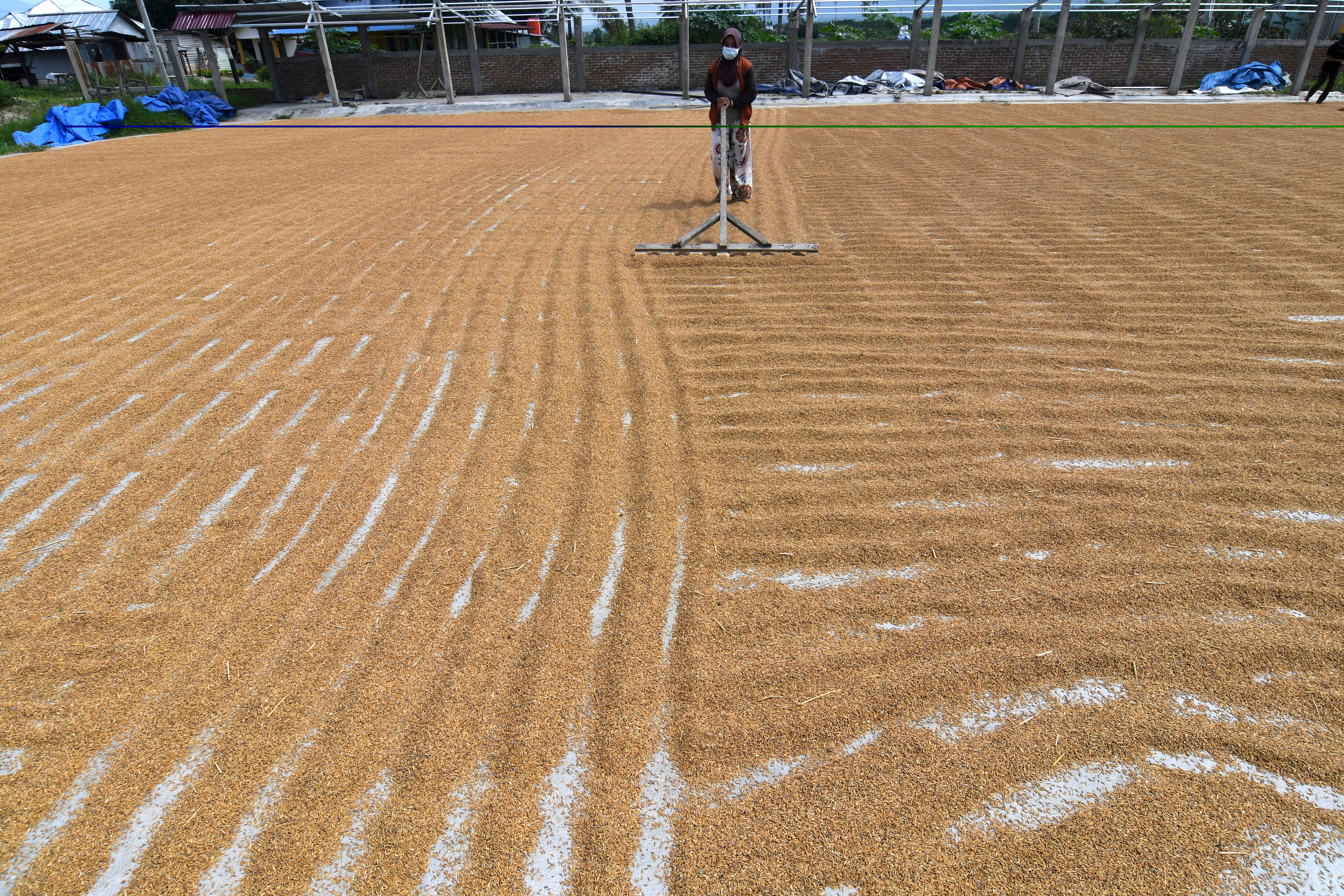 Penyaluran KUR Pertanian Capai Rp90,8 Triliun Pada Oktober 2022