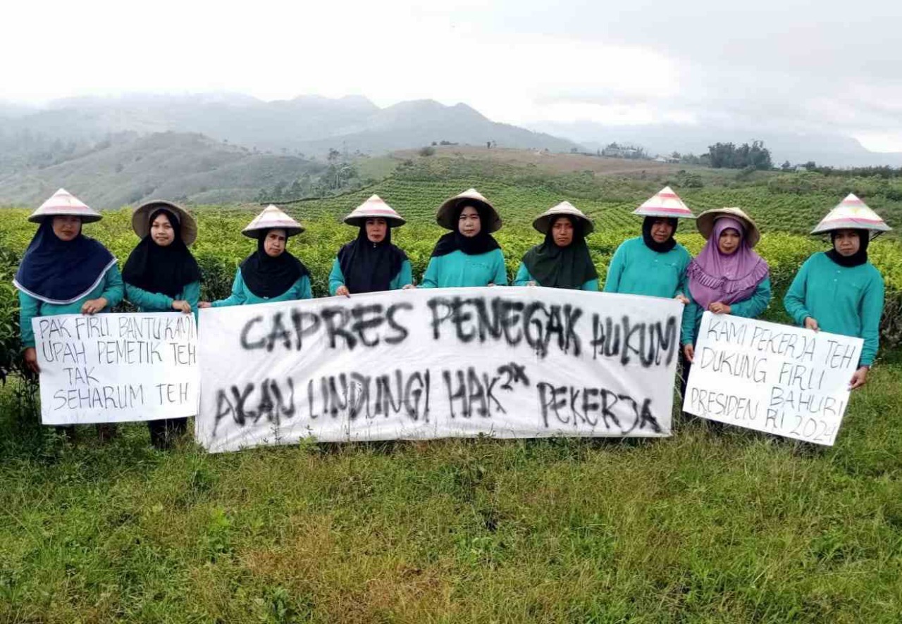 Komunitas pemetik teh  di Cianjur, Jawa Barat, berharap Ketua KPK Firli Bahuri maju pada Pilpres 2024