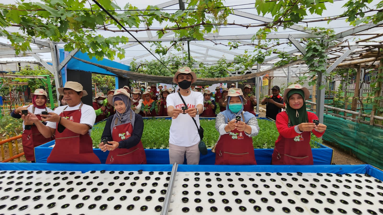 Orang Muda Ganjar (OMG) merilis program Petani Kota pada Sabtu (22/10/22) di Kembangan, Jakarta Barat.