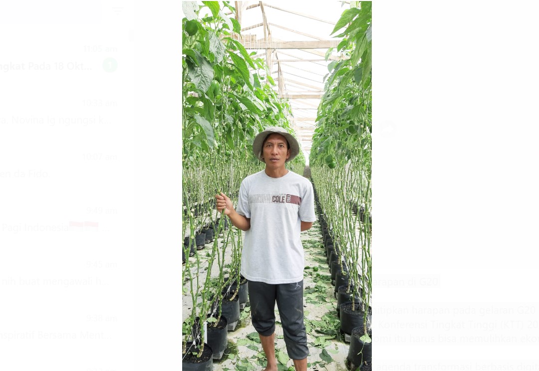 Petani Paprika Sambut dan Titipkan Harapan di G20