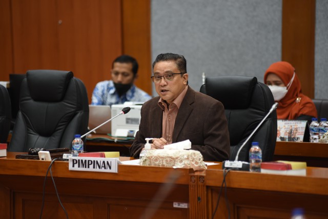 Wakil Ketua Komisi X DPR RI Dede Yusuf. 