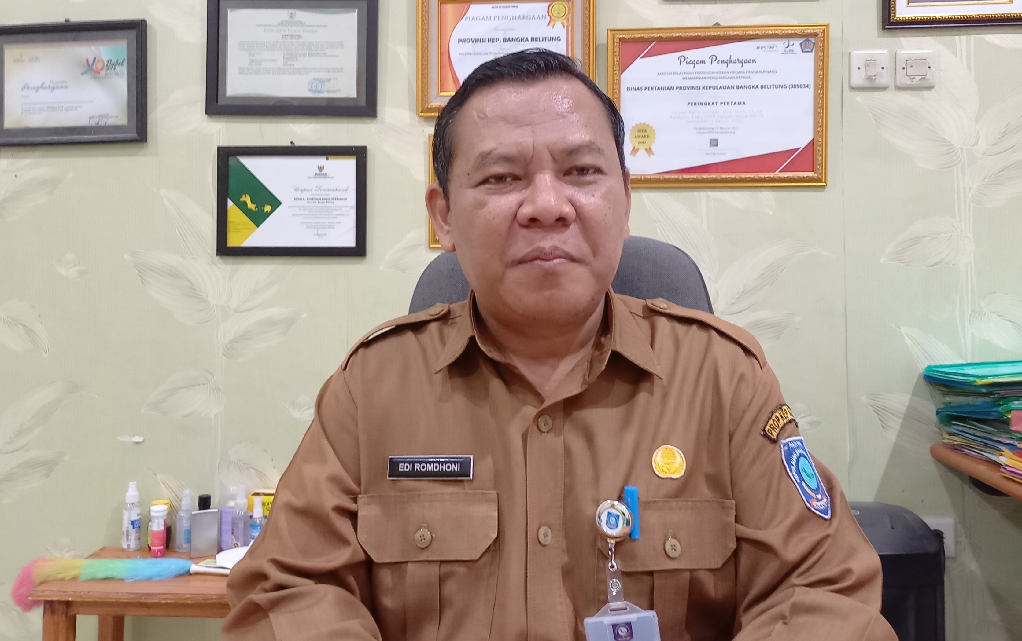 Kepala Dinas Pertanian dan Ketahanan Pangan (DPKP) Provinsi Babel Edi Romdhoni.