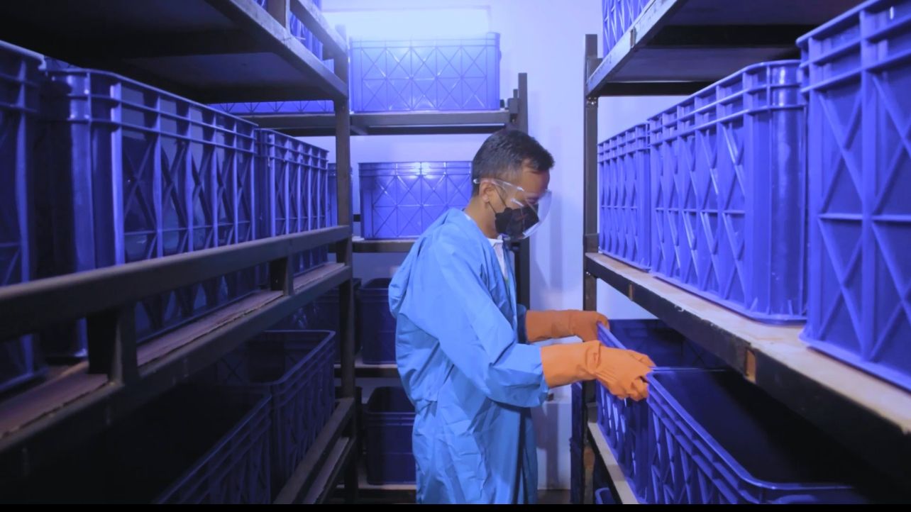 G.H. Universal Hotel Bandung laksanakan budi daya maggot mandiri di area hotel, ini merupakan program dari Green Team G.H. Universal Hotel.