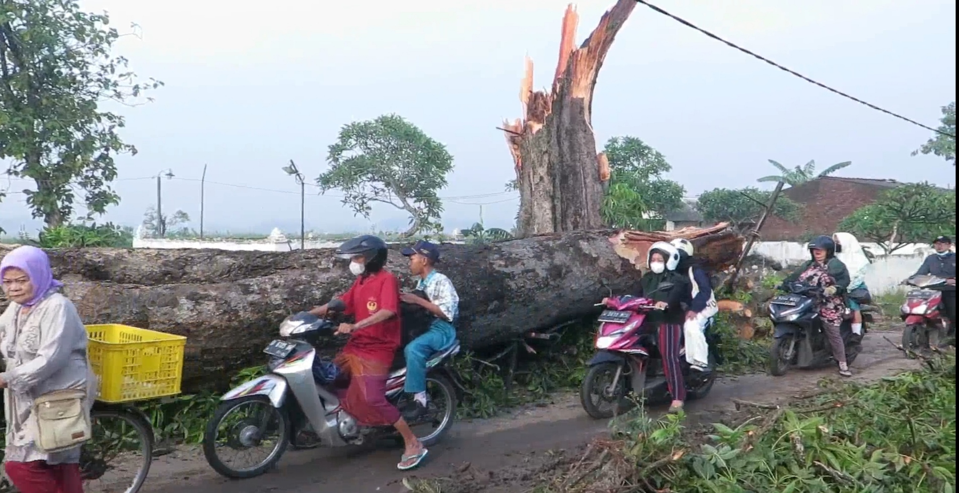 Dampak puting beliung yang melanda beberapa wilayah di Sidoarjo, Jawa Timur.  