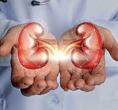 Hasil Biopsi Pasien Ginjal Akut Menunjukkan Kerusakan Akibat Etilen Glikol