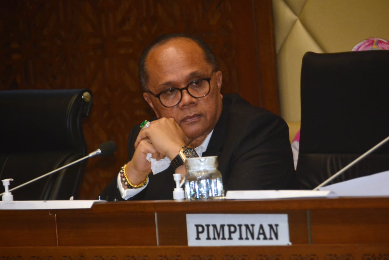 Anggota F=PDIP DPR RI Junimart Girsang