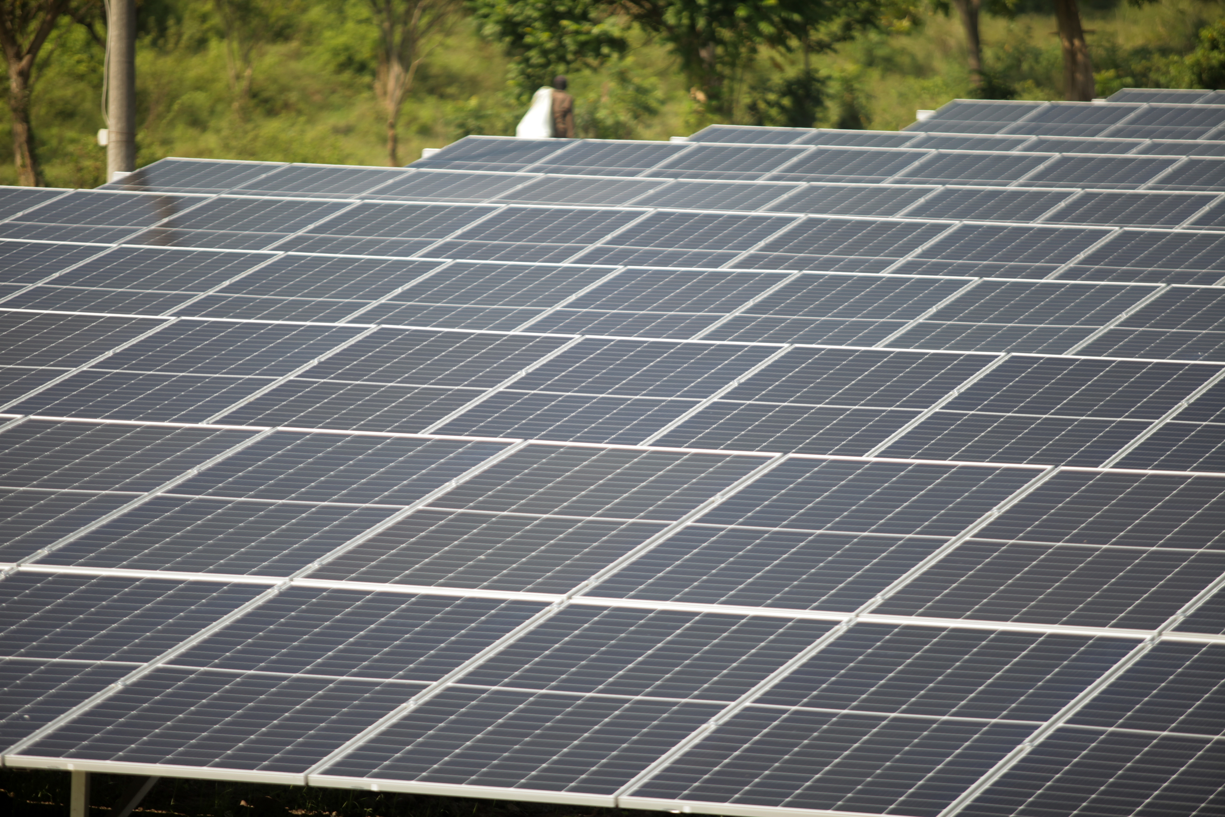 Potret area panel tenaga surya.