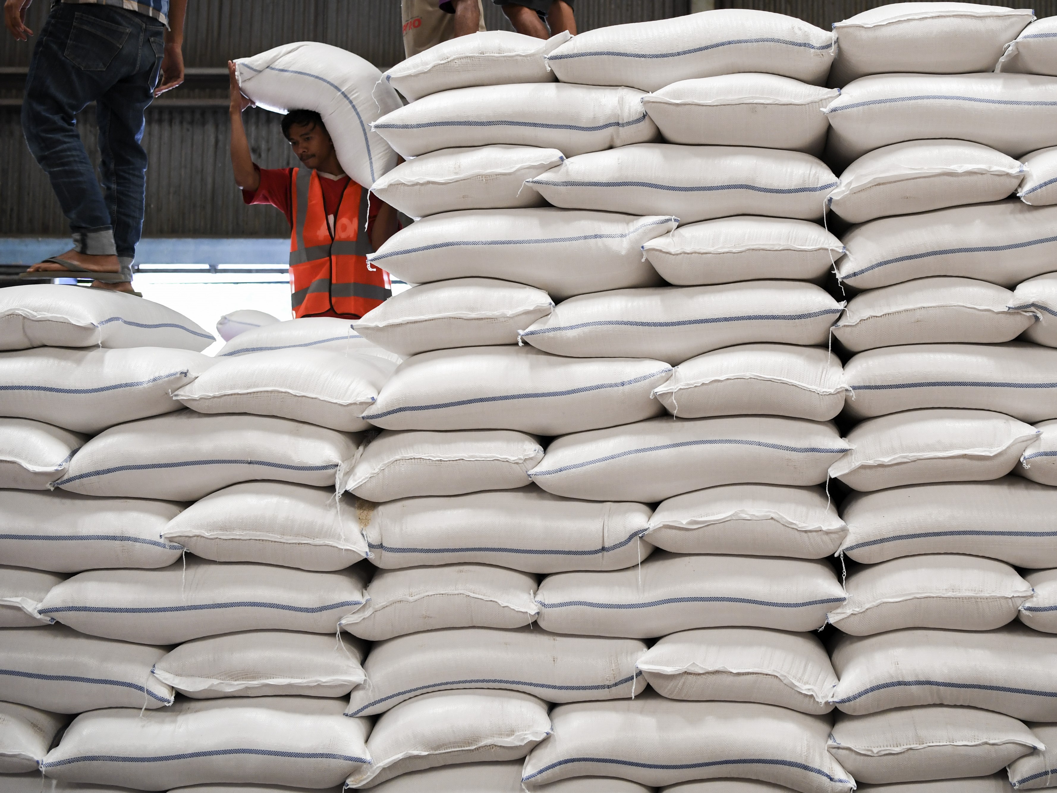 Bulog Pastikan Utamakan Penyerapan Beras dalam Negeri daripada Impor