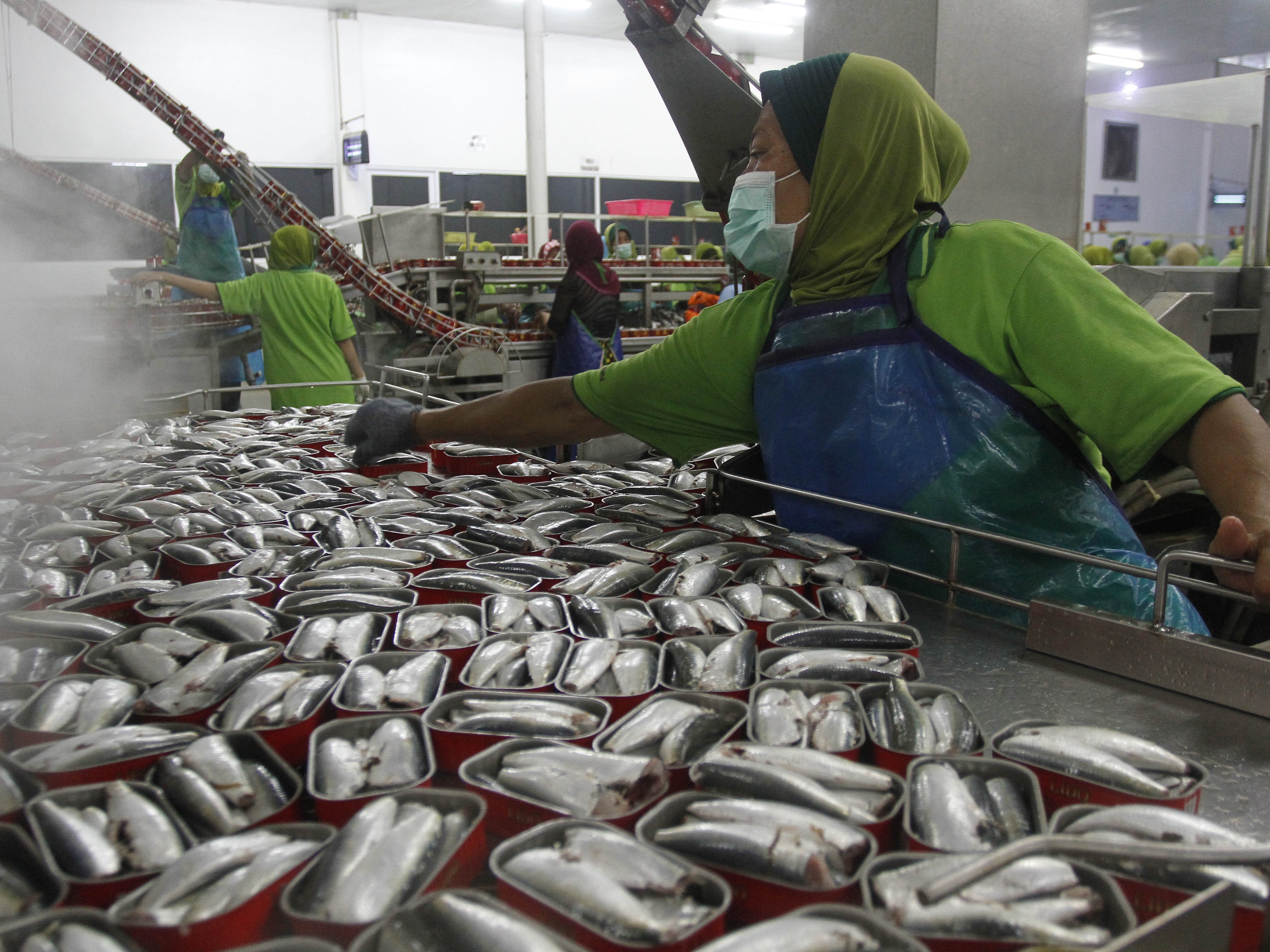 Sejumlah pekerja melakukan pengisian ikan dalam kaleng di pabrik sarden Sarana Tani Pratama, Pengambengan, Bali.