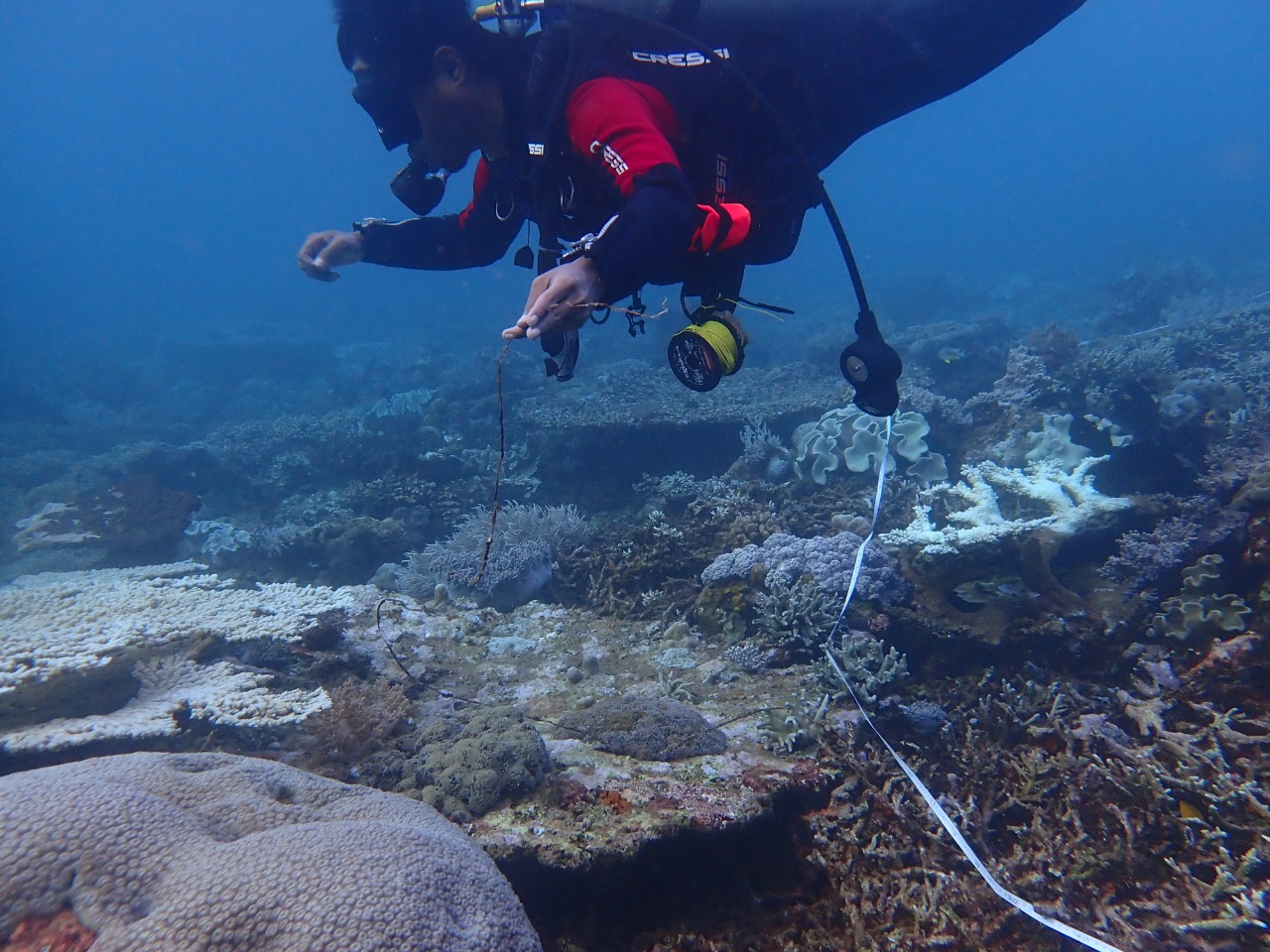 Harita Nickel Terapkan Good Mining Practise