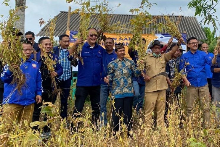 Ayep Zaki (kacamata hitam) saat panen kedele bersama warga.