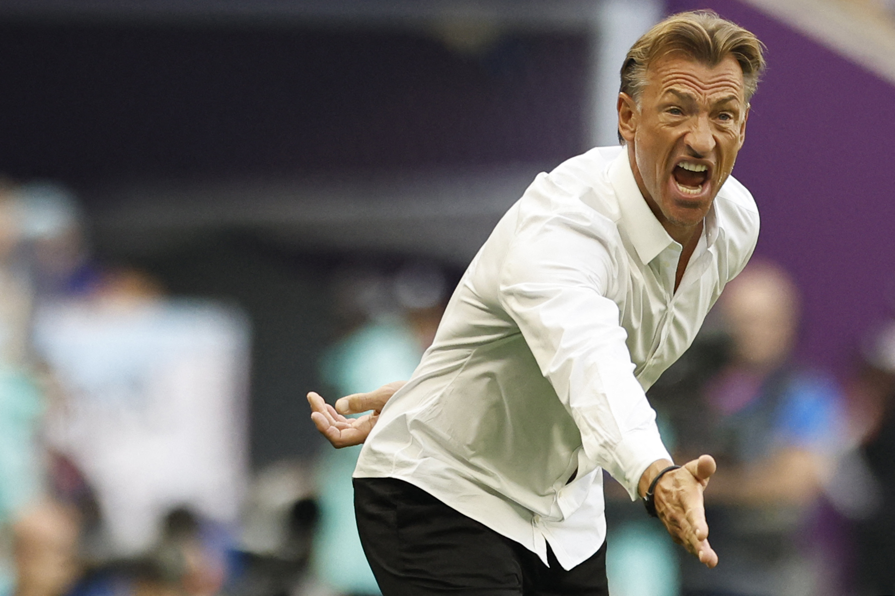 Pelatih timnas Arab Saudi, Herve Renard.