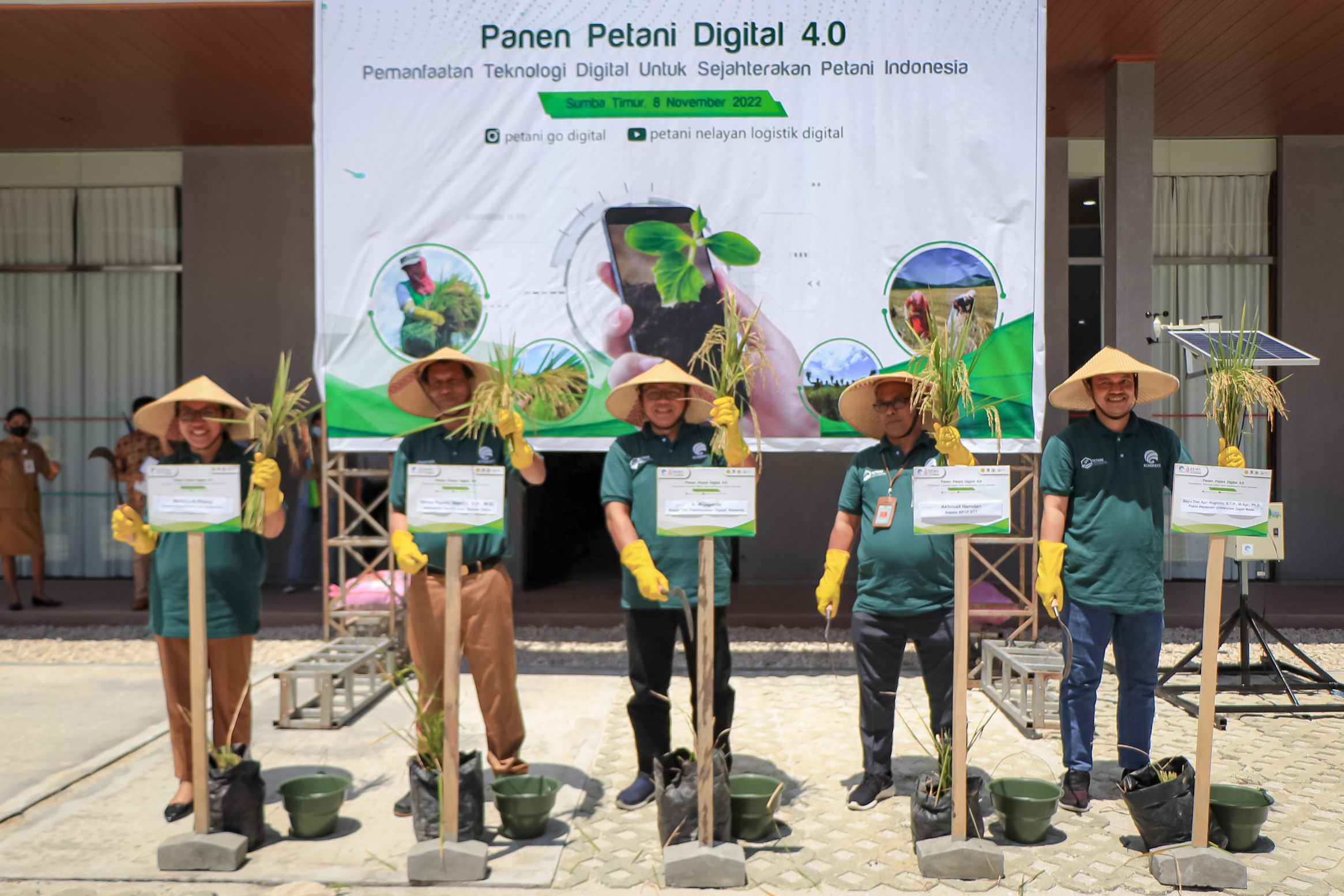 Kegiatan Panen Petani Digital 4.0 di Desa Kadumbul dan Desa Kawangu, Kecamatan Pandawai, Kabupaten Sumba Timur, NTT.