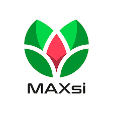 Logo Maxsi Reload