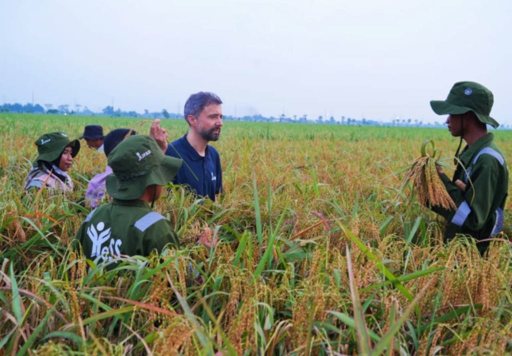 Presiden IFAD Alvaro Lario meninjau lokasi Program YESS di Subang, Jabar, Selasa (15/11/2022)