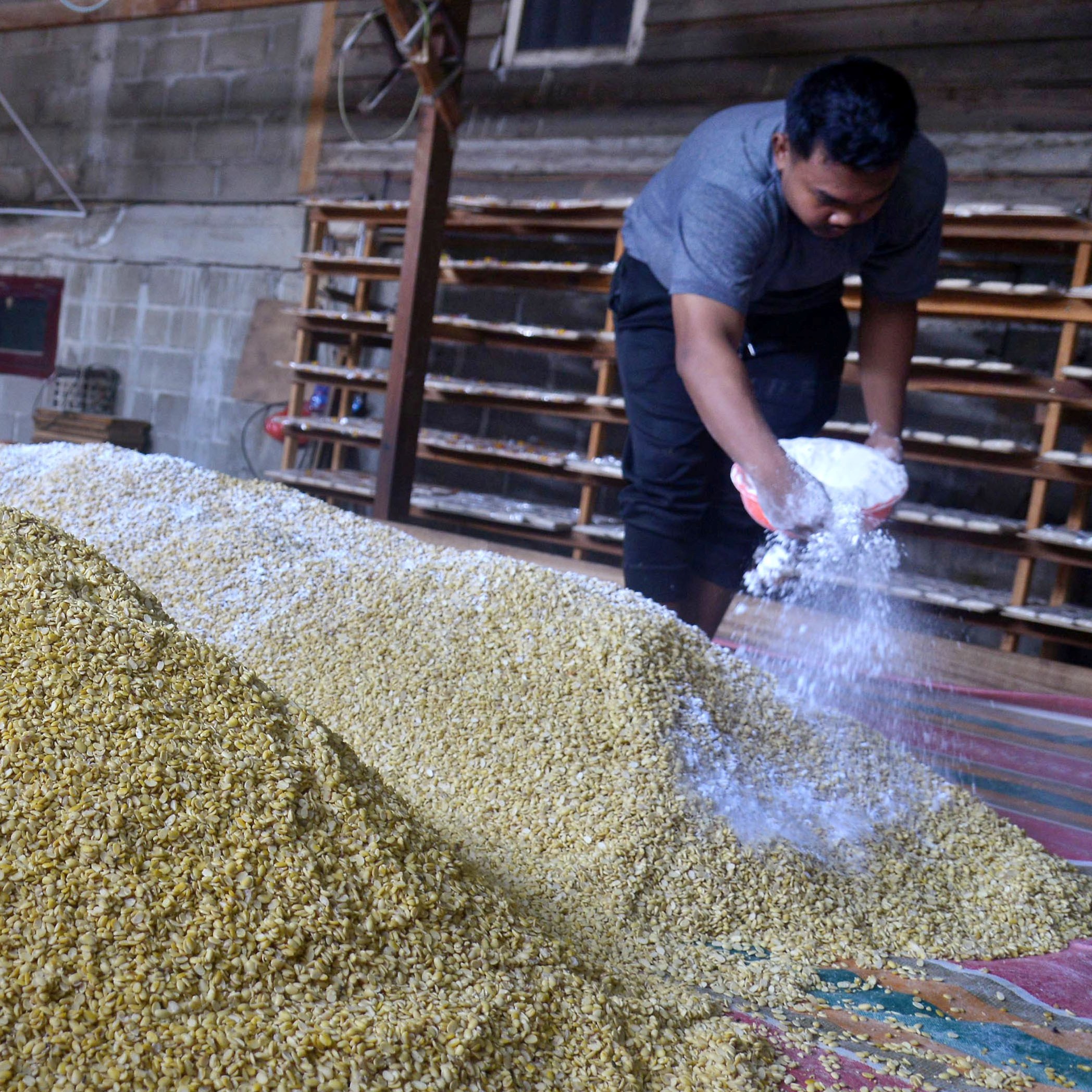 Pekerja memberikan campuran tempung pada kacang kedelai untuk pembuatan tempe di Desa Tanjung, Ingin Jaya, Kabupaten Aceh Besar, Aceh.