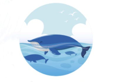 Ilustrasi: Paus Biru