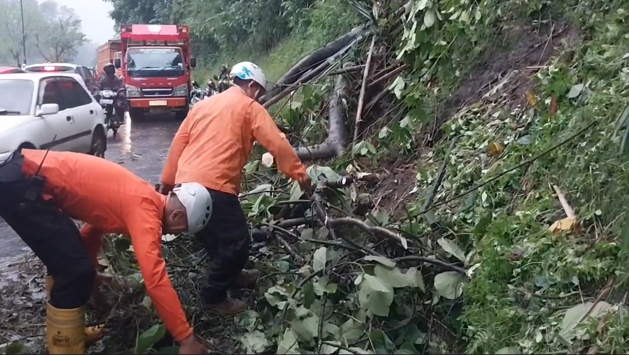 Tebing Setinggi 30 Meter Longsor di Jalan Raya Cadas Pangeran Sumedang