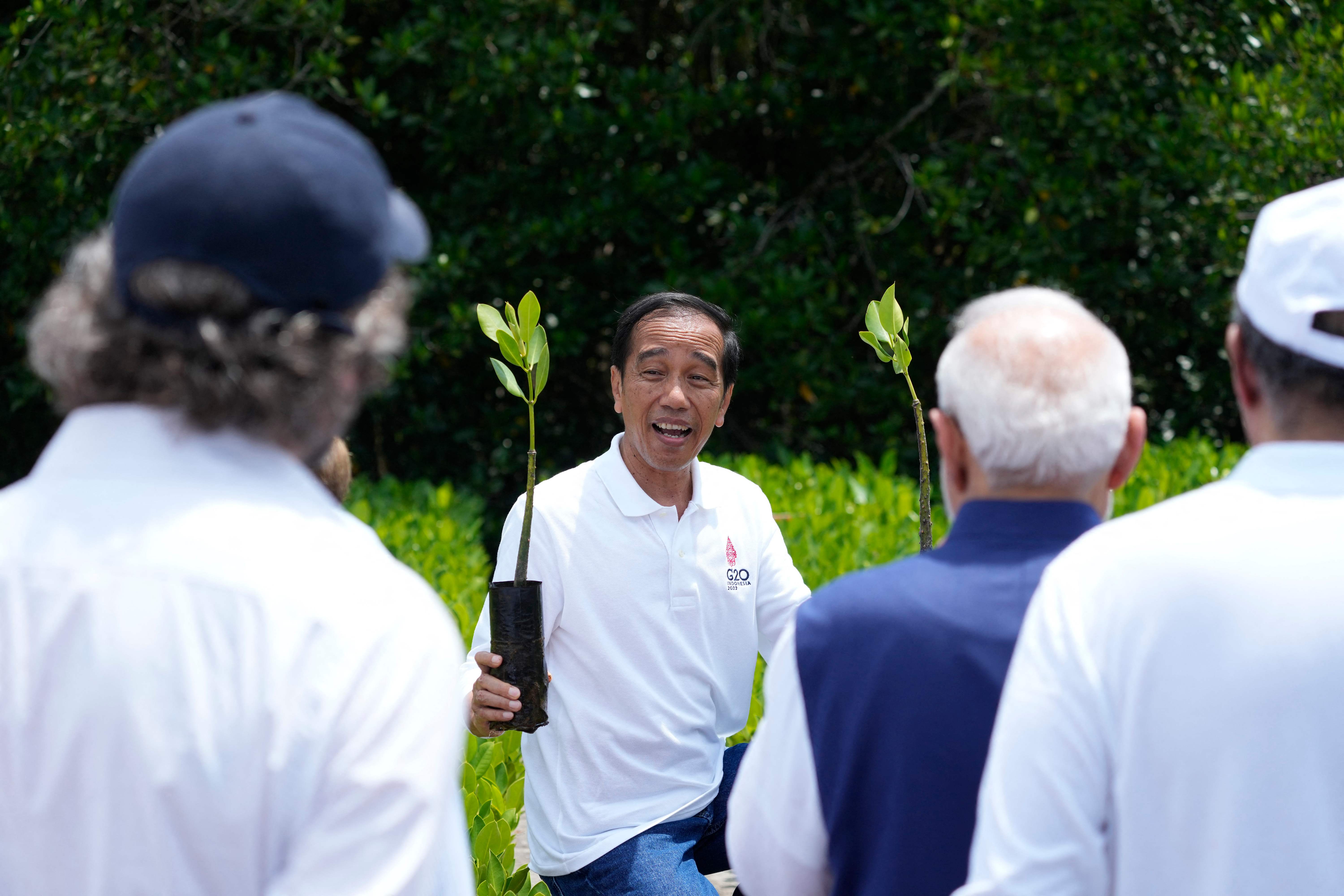 Presiden Jokowi bersama sejumlah pemimpin negara G20 mengikuti agenda penanaman mangrove di Bali.
