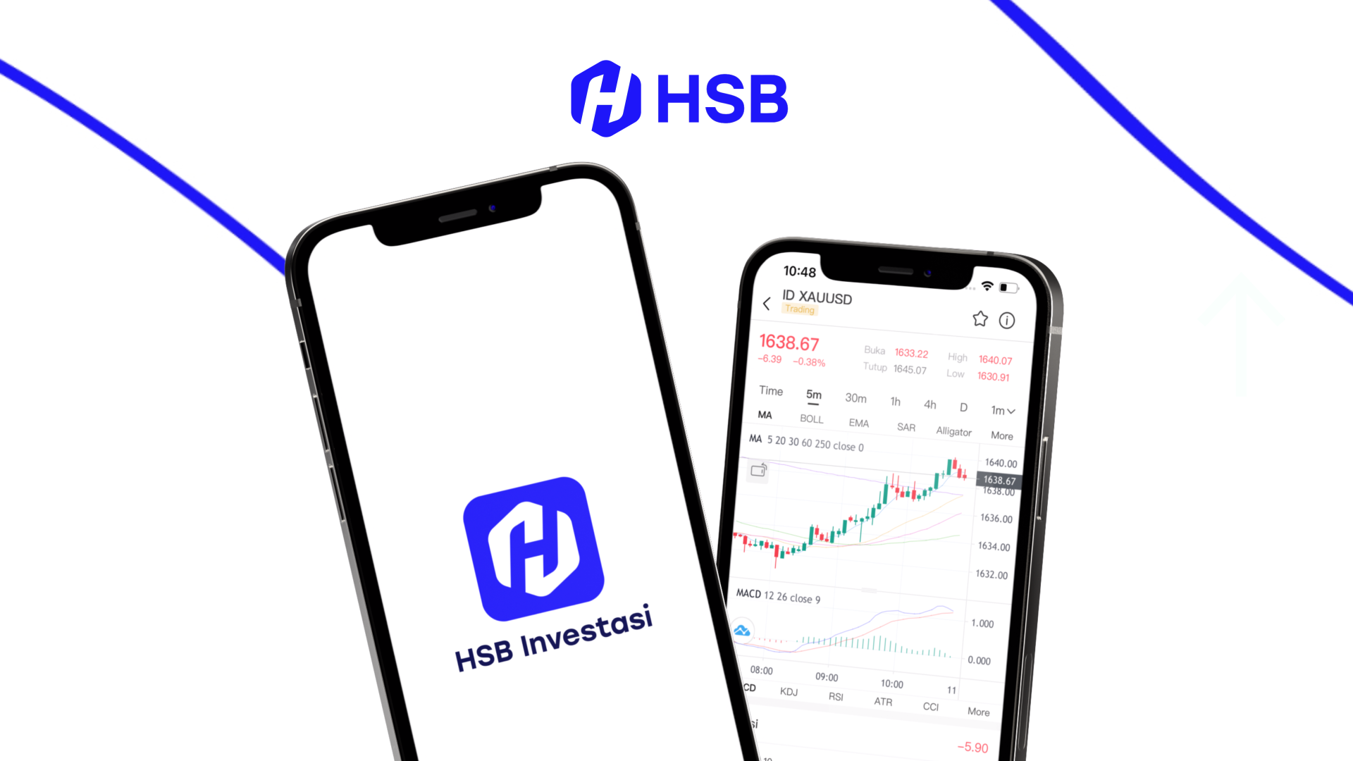 Tampilan  Aplikasi HSB