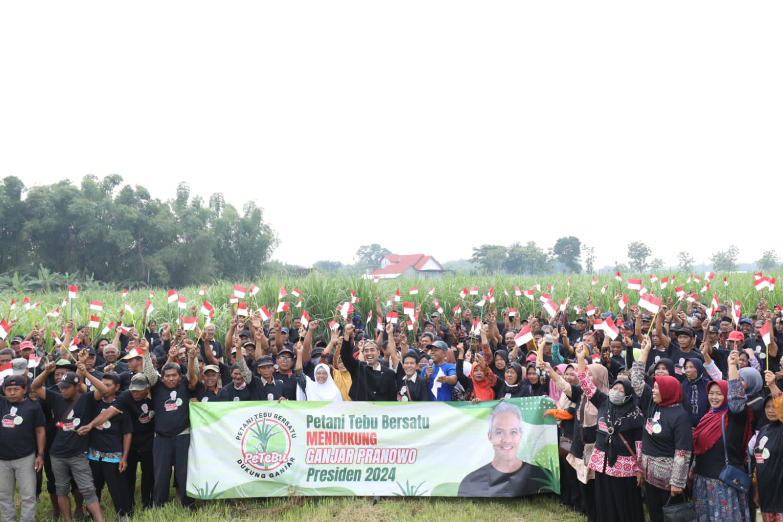 Komunitas petani tebu Kabupaten Madiun, Jawa Timur menyatakan dukungan Ganjar Presiden, Sabtu (26/11/2022)