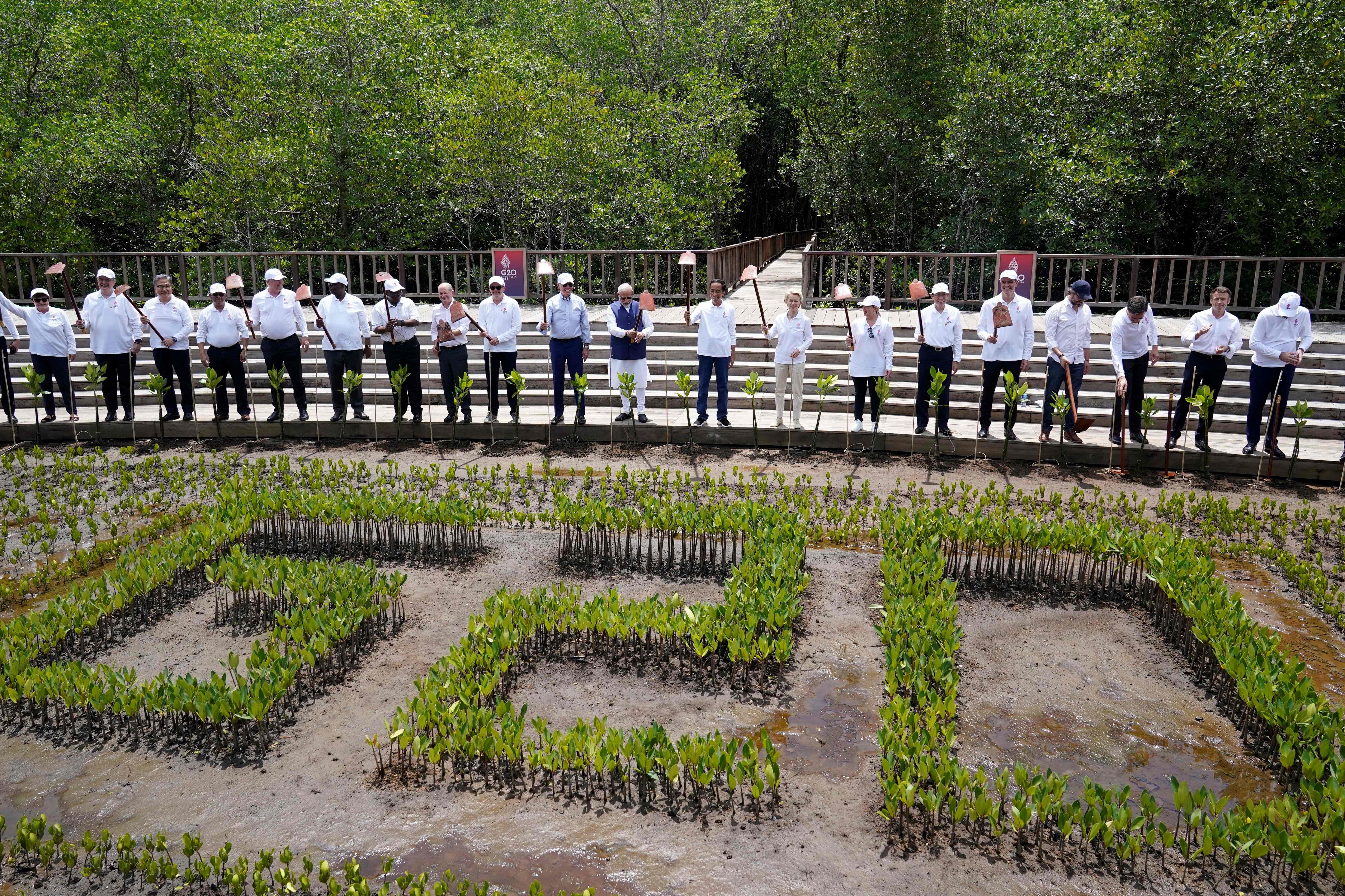 Para pemimpin dunia mengangkat cangkul dalam sesi foto bersama di hutan mangrove Ngurah Rai, Bali.