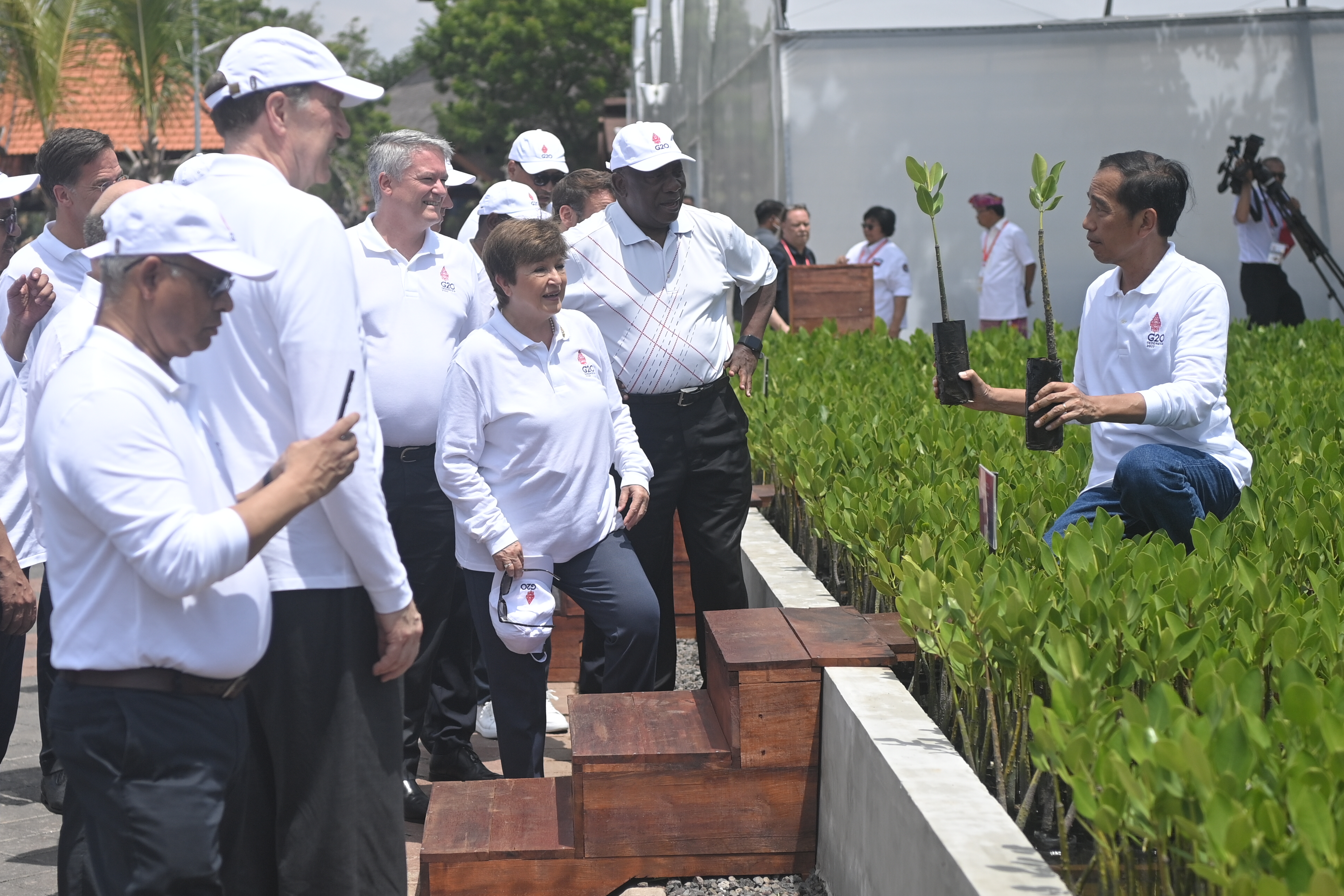 Presiden Joko Widodo menunjukkan benih mangrove kepada kepala negara peserta G20.