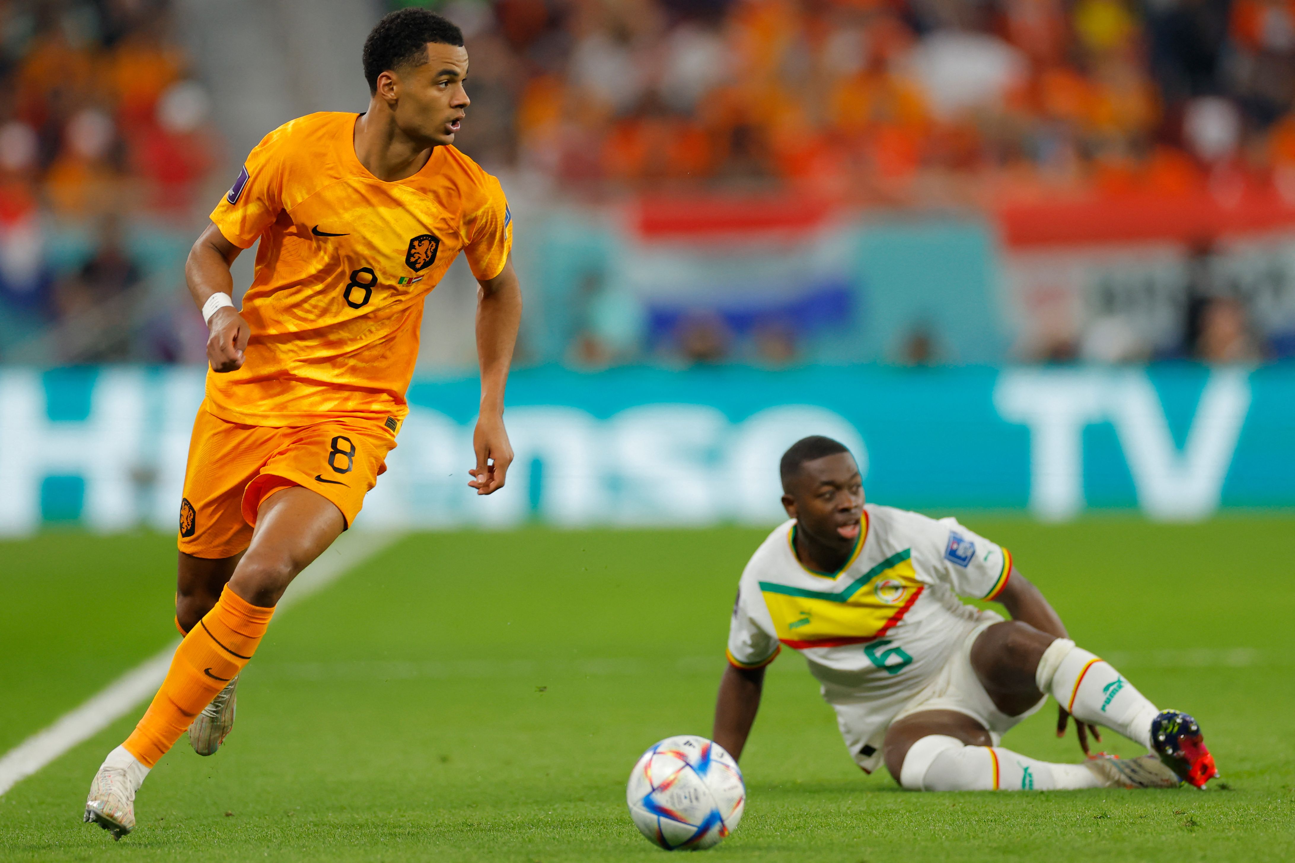 Cody Gakpo (kiri) mencetak satu gol kemenangan 2-0 Belanda atas Senegal dalam penyisihan Grup A, Senin (21/11).
