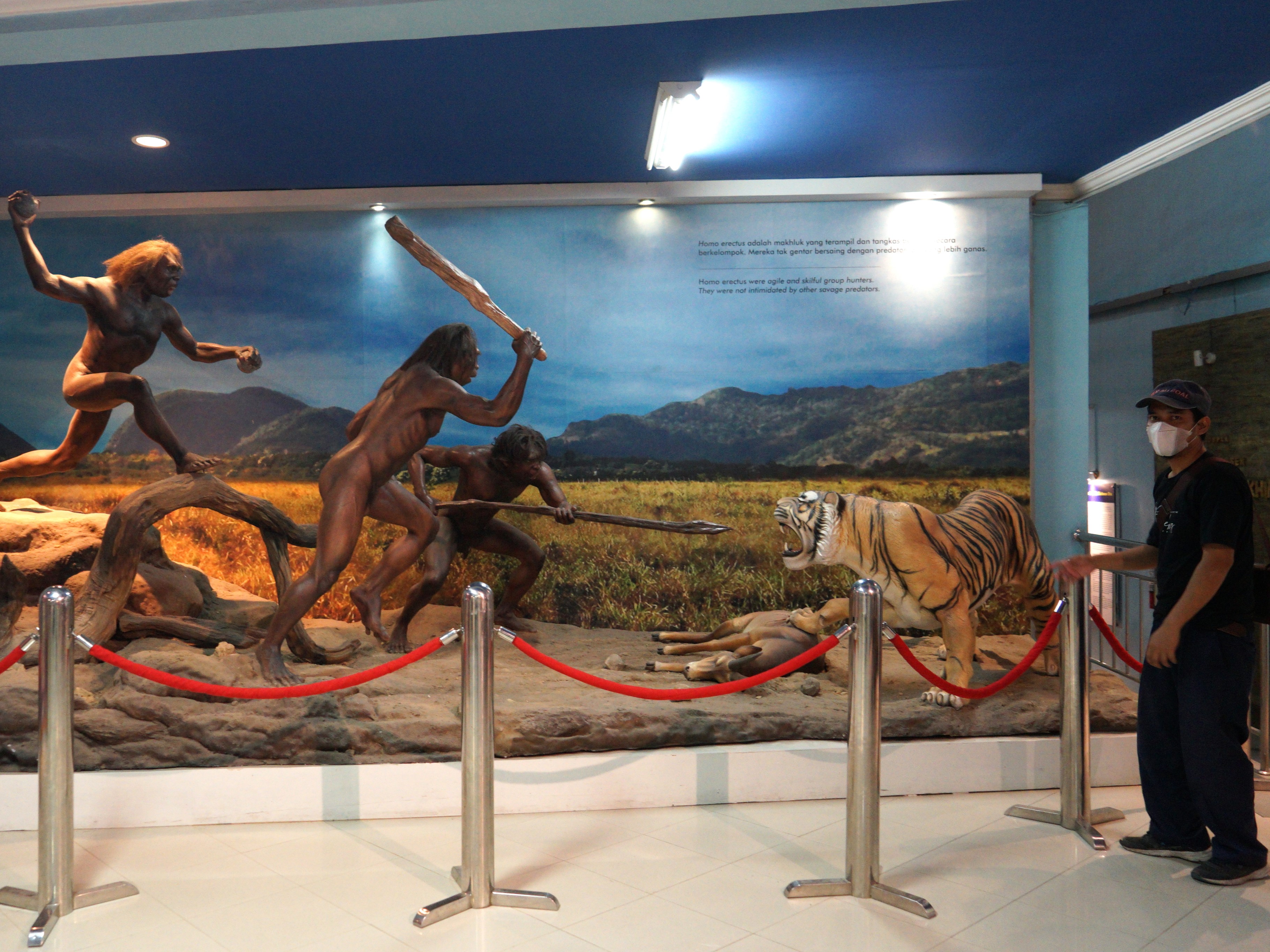 Pengunjung mengamati benda koleksi Museum Sangiran di Sragen, Jawa Tengah.