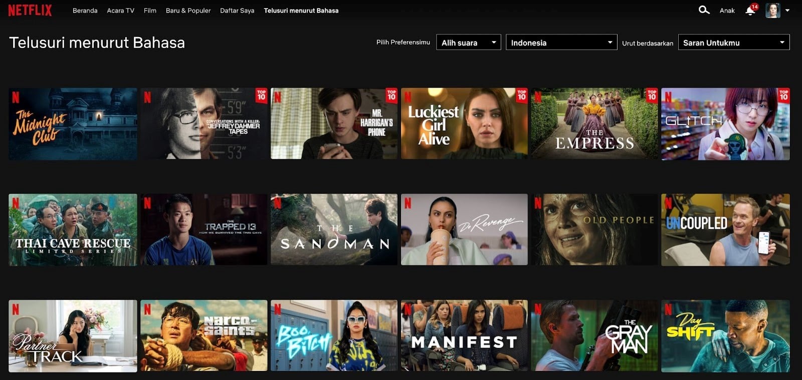 Netflix menyediakan berbagai fitur pengaturan bahasa.