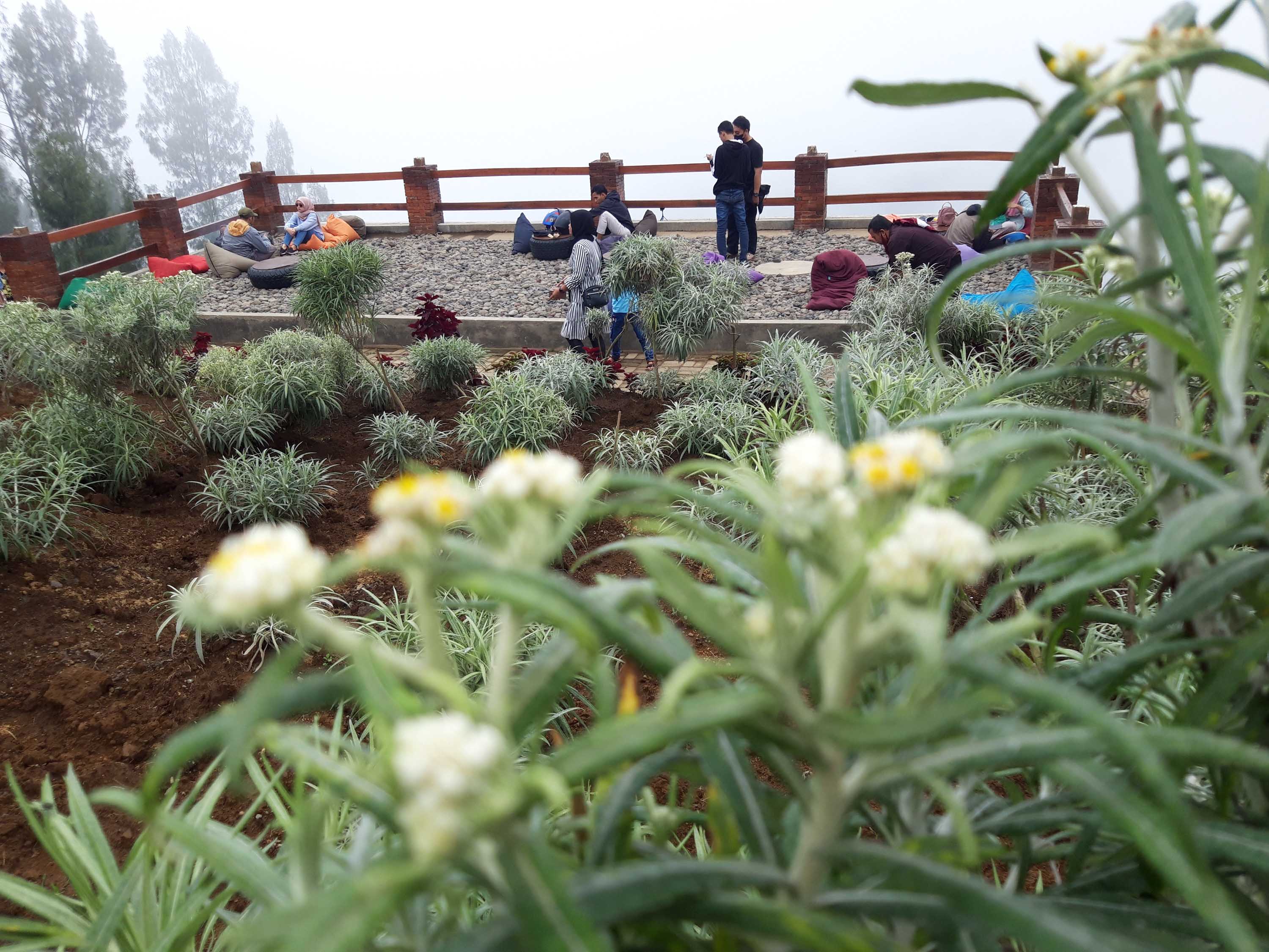 Salah satu objek wisata di Kawasan Gunung Bromo, Jawa Timur