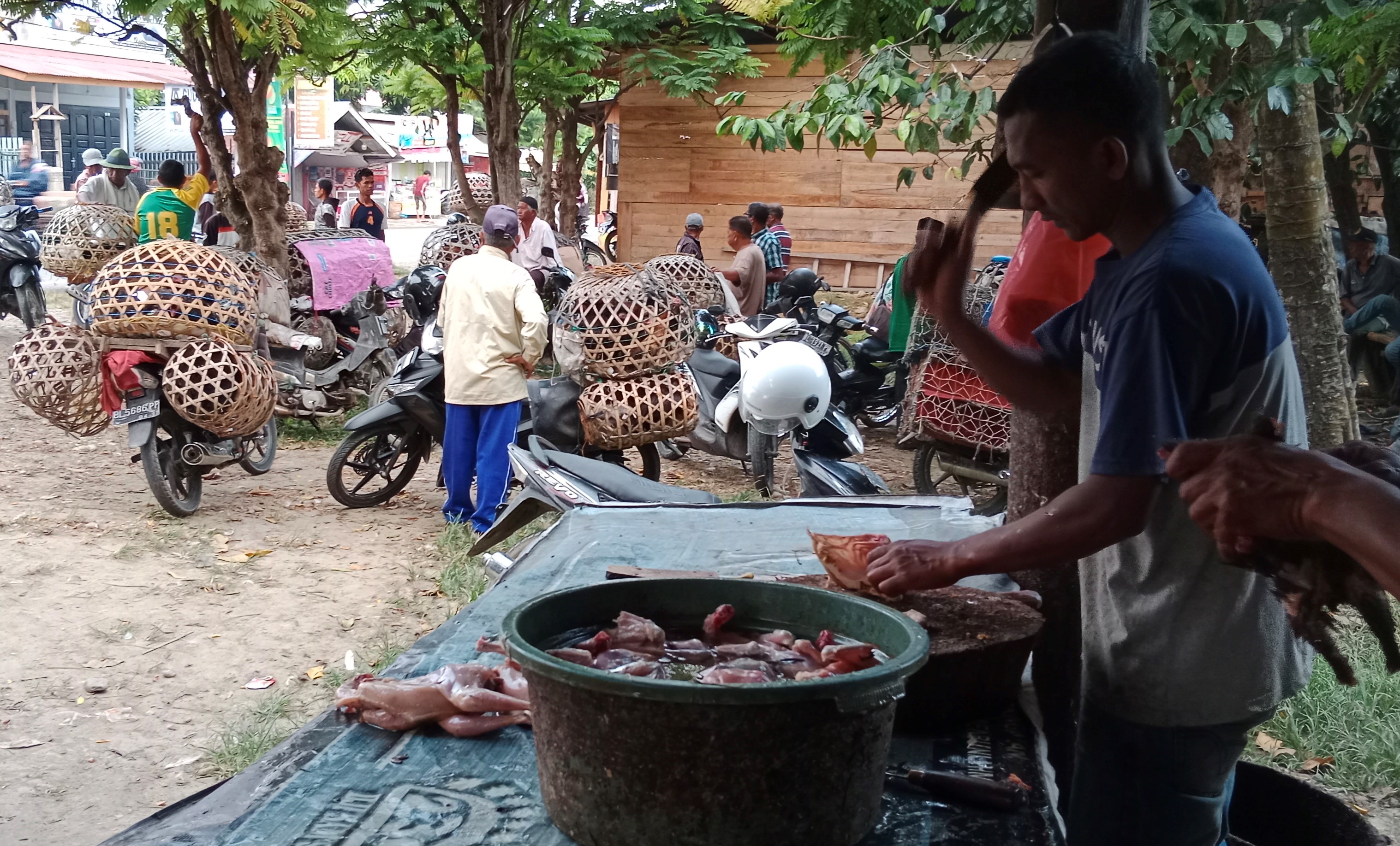 Aktivitas pedagang ayam kampung di Pasar Simpang Keunire, Kecamatan Pidie, Kabupaten Pidie, Aceh, Rabu (23/11).