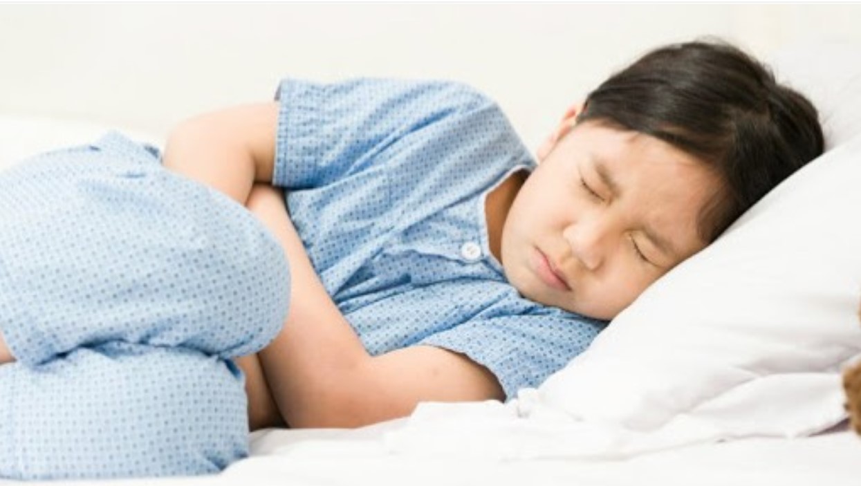 Saluran Cerna Pegang Peranan Penting dalam Pembentukan Kekebalan Tubuh Anak