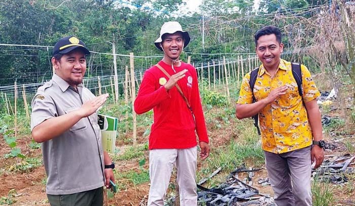 Petani milenial Sumsel dari alumnus SMKPPN Sembawa menjadi CPCL di bawah koordinasi SMKPPN Sembawa.