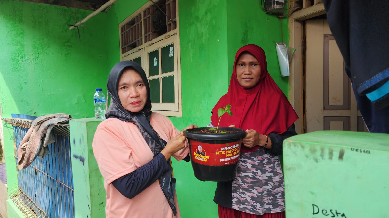 Relawan Ganjar Pranowo membagikan ratusan bibit pohon cabai ke rumah-rumah warga di Cilincing, Jakarta Utara, Selasa (15/11/2022).