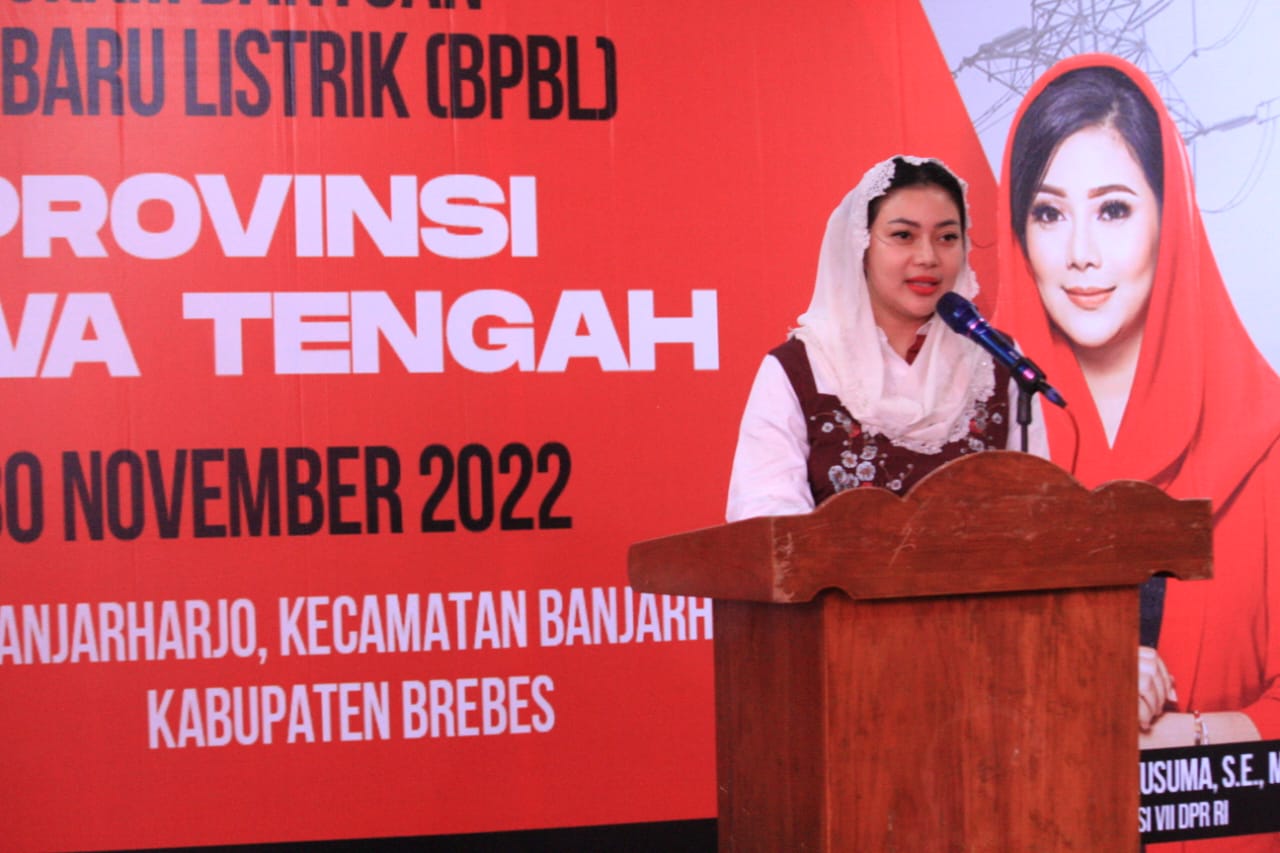 Anggota DPR RI Fraksi PDI Perjuangan, Paramitha Widya Kusuma