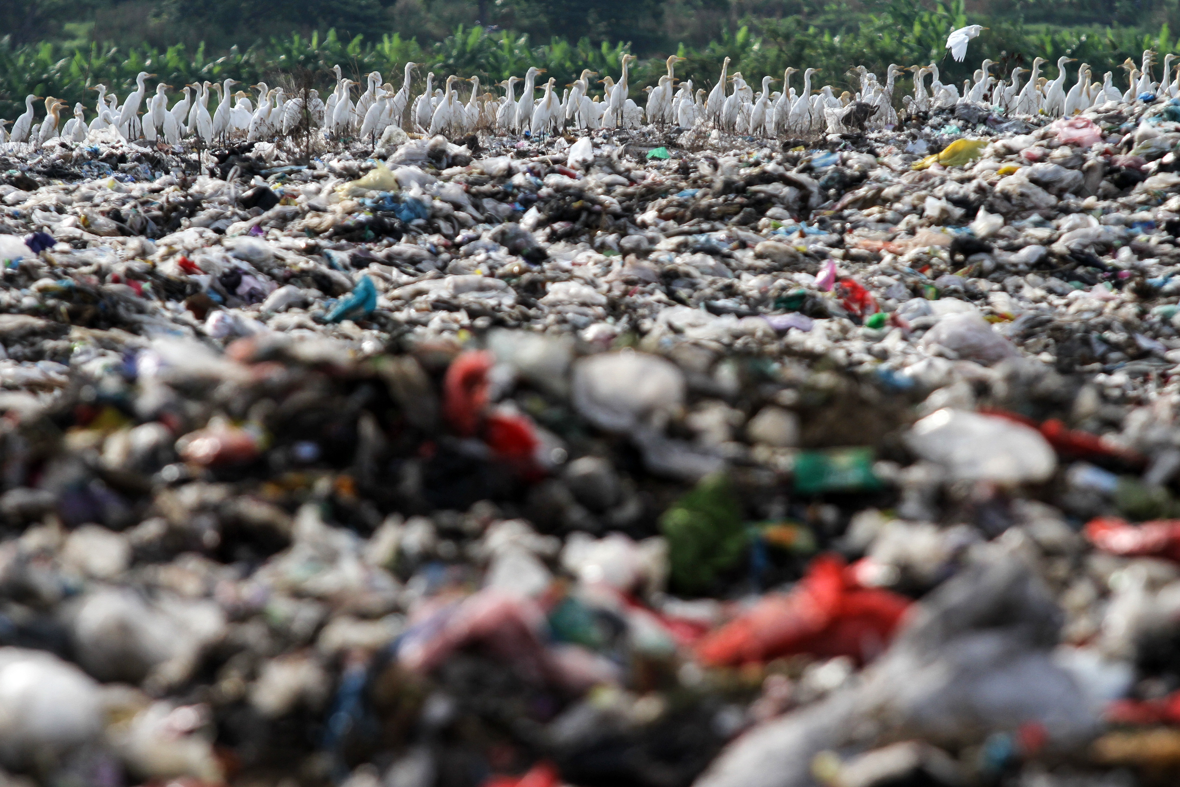 Tumpukan sampah di tempat pembuangan akhir sampah