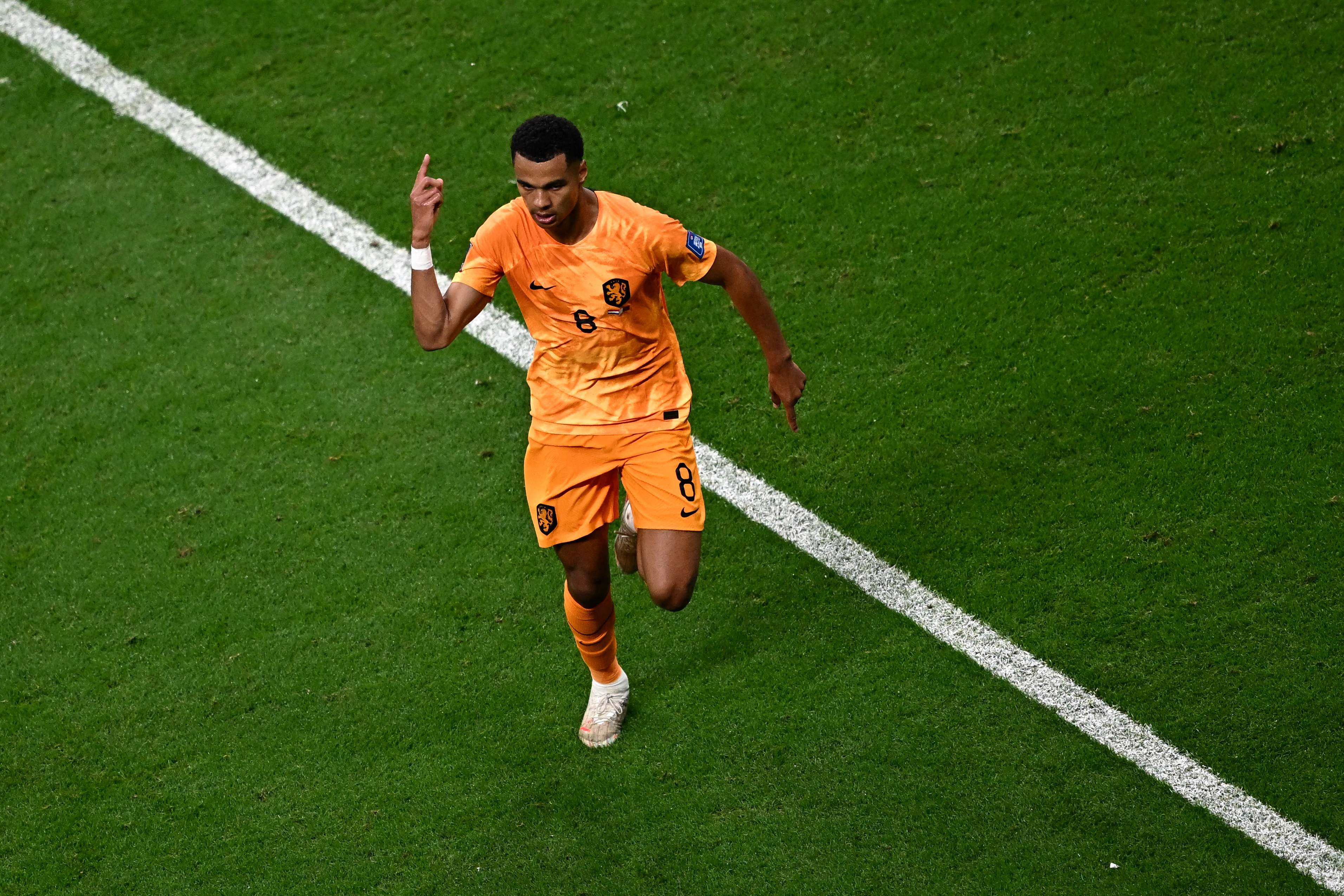 Penyerang timnas Belanda Cody Gakpo melakukan selebrasi usai mencetak gol ke gawang Qatar di laga Piala Dunia 2022.