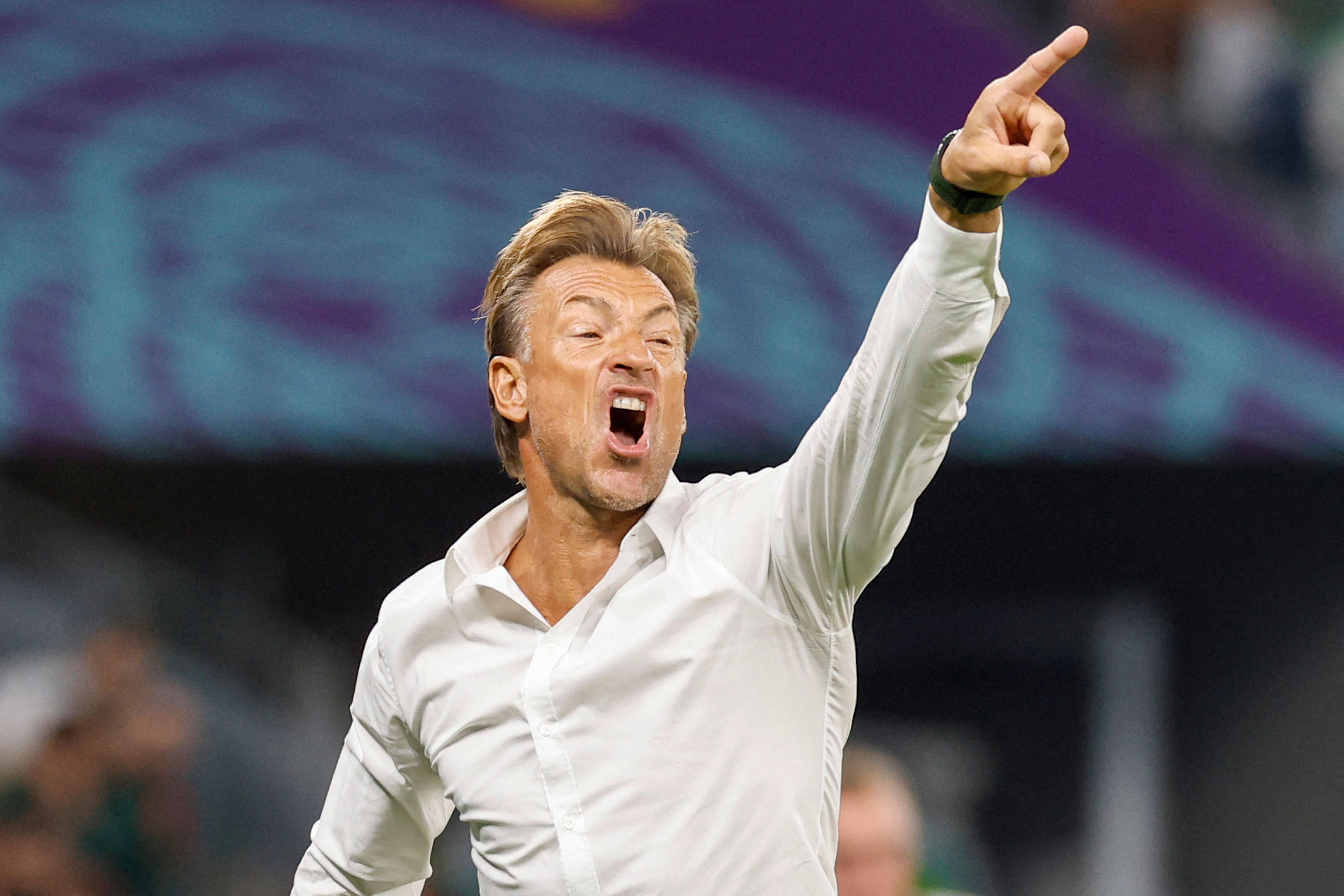 Pelatih timnas Arab Saudi Herve Renard
