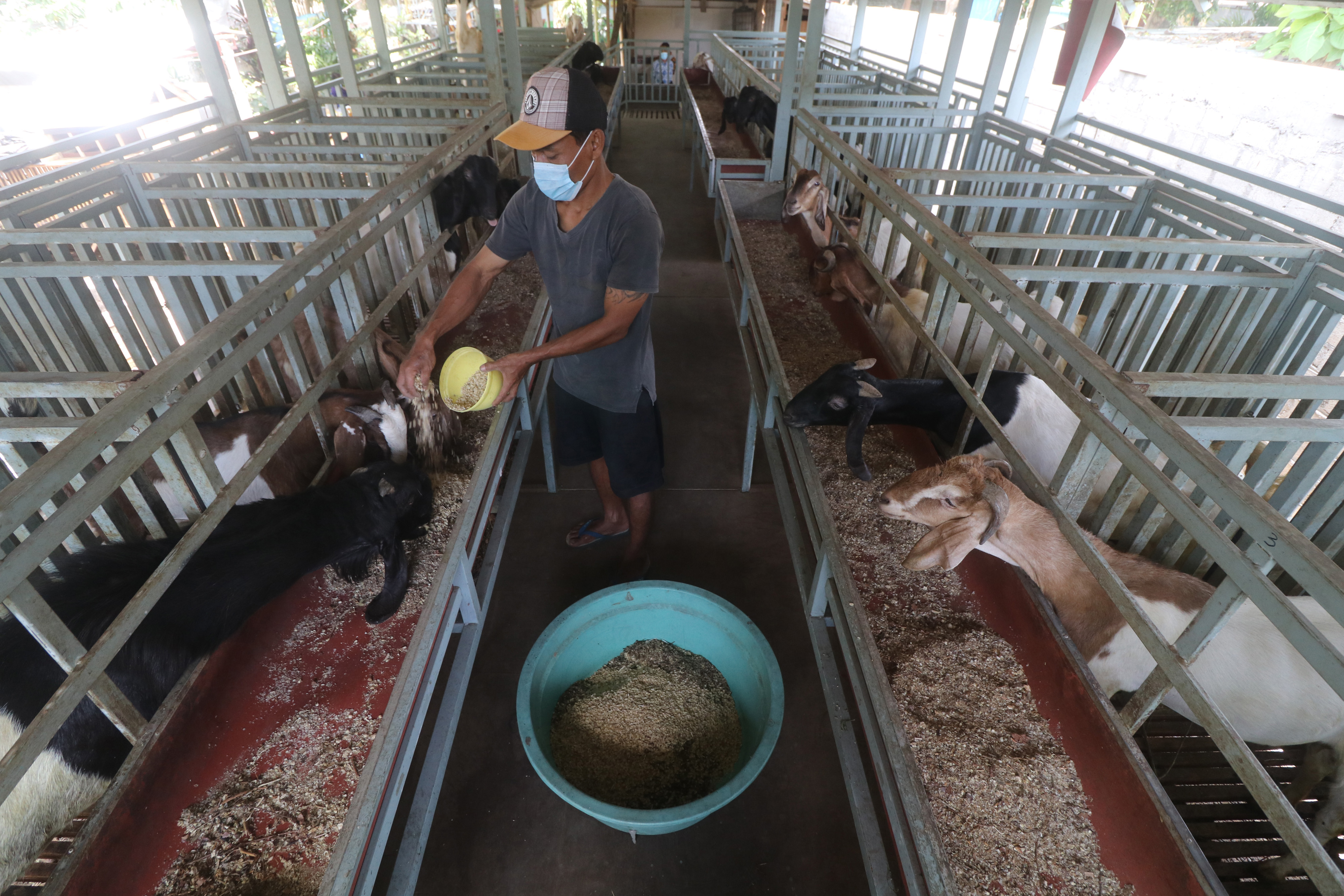 Ilustrasi peternakan