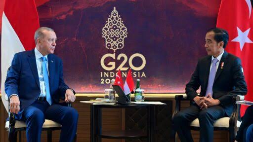 Bertemu Erdogan, Jokowi Bahas Konflik Rusia-Ukraina