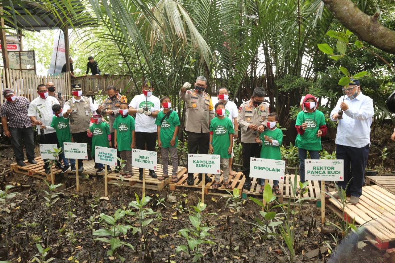 Penanaman mangrove di pesisir pantai Sumatra Utara