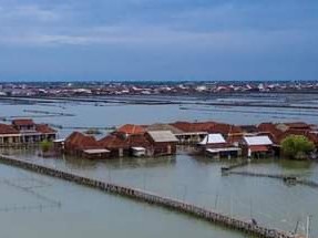 Desa Timbulsloko, Kecamatan Sayung, Kabupaten Demak, nyaris tenggelam akibat rob.