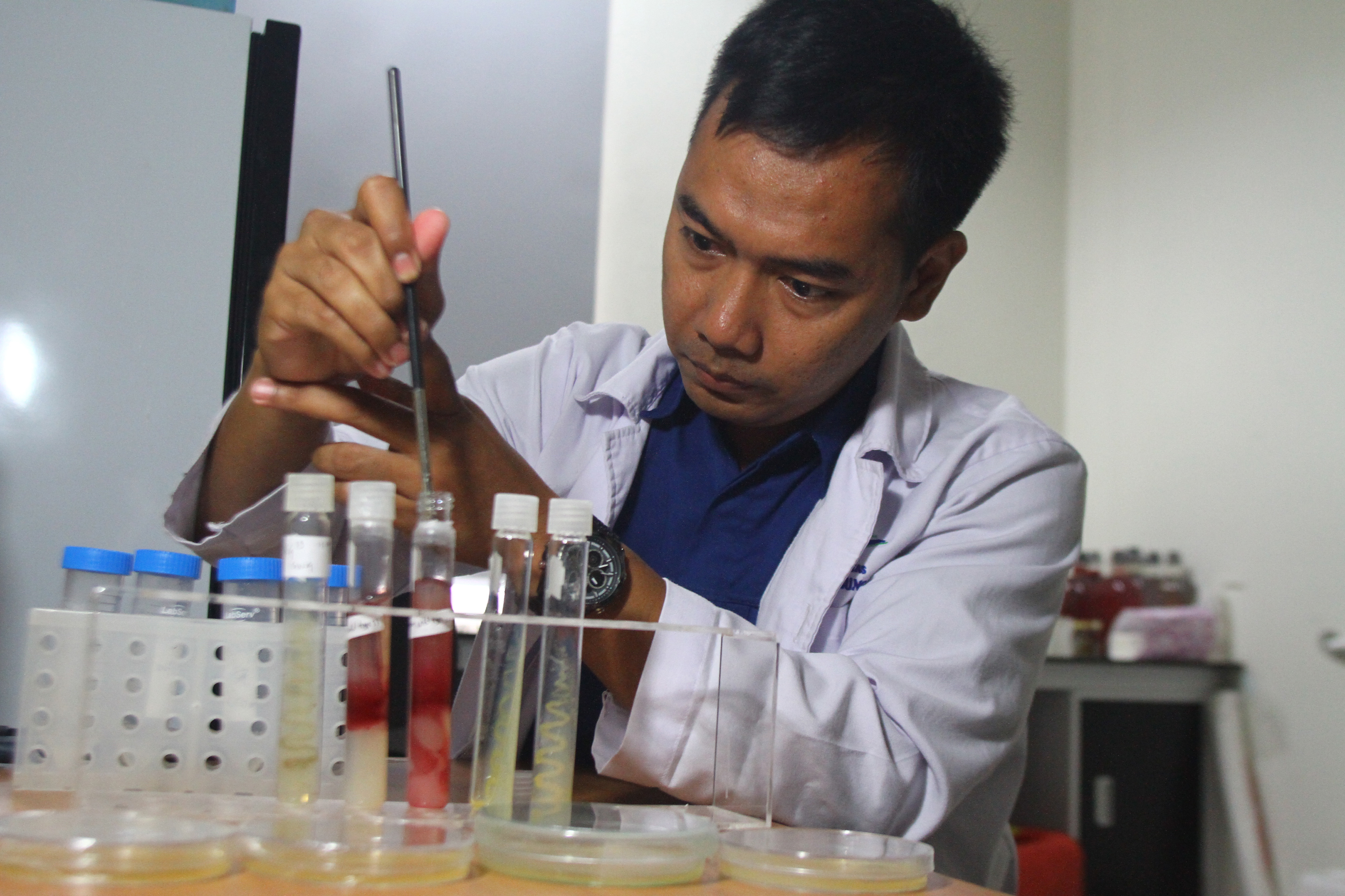 Penyebab Kematian Tertinggi Kedua di Dunia, Infeksi Bakteri