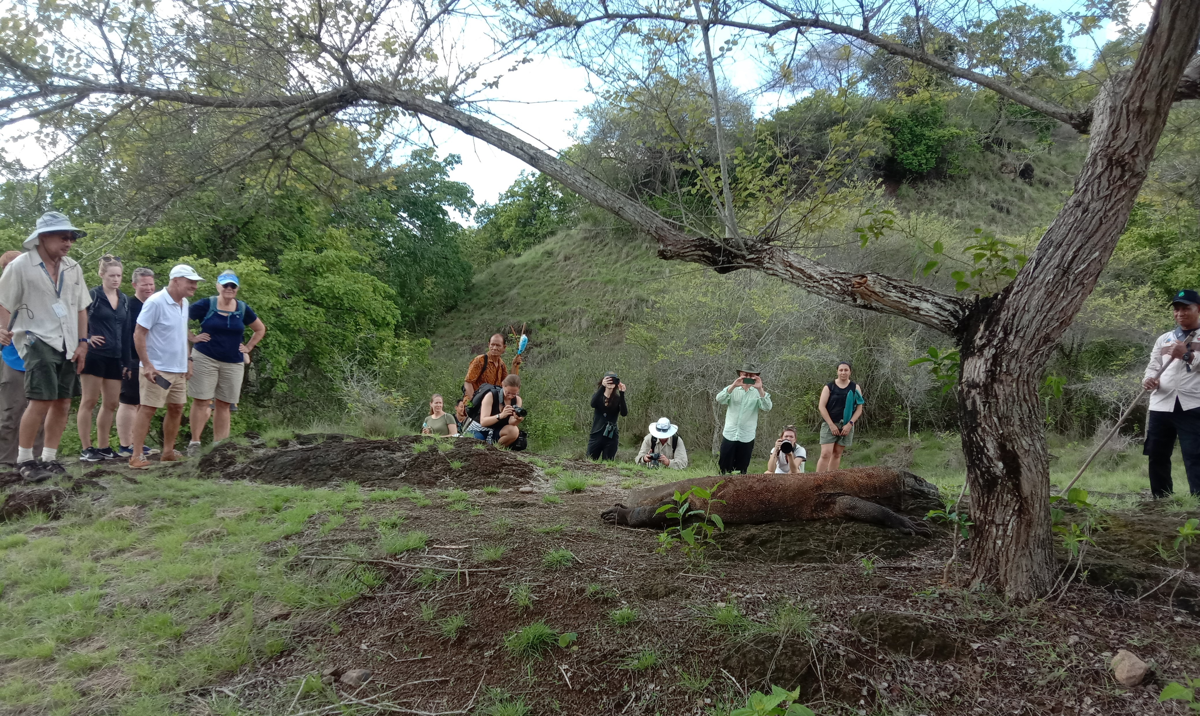 Turis mancanegara menyaksikan komodo di Taman Nasional Komodo, NTT,  Sabtu (26/11/2022) 