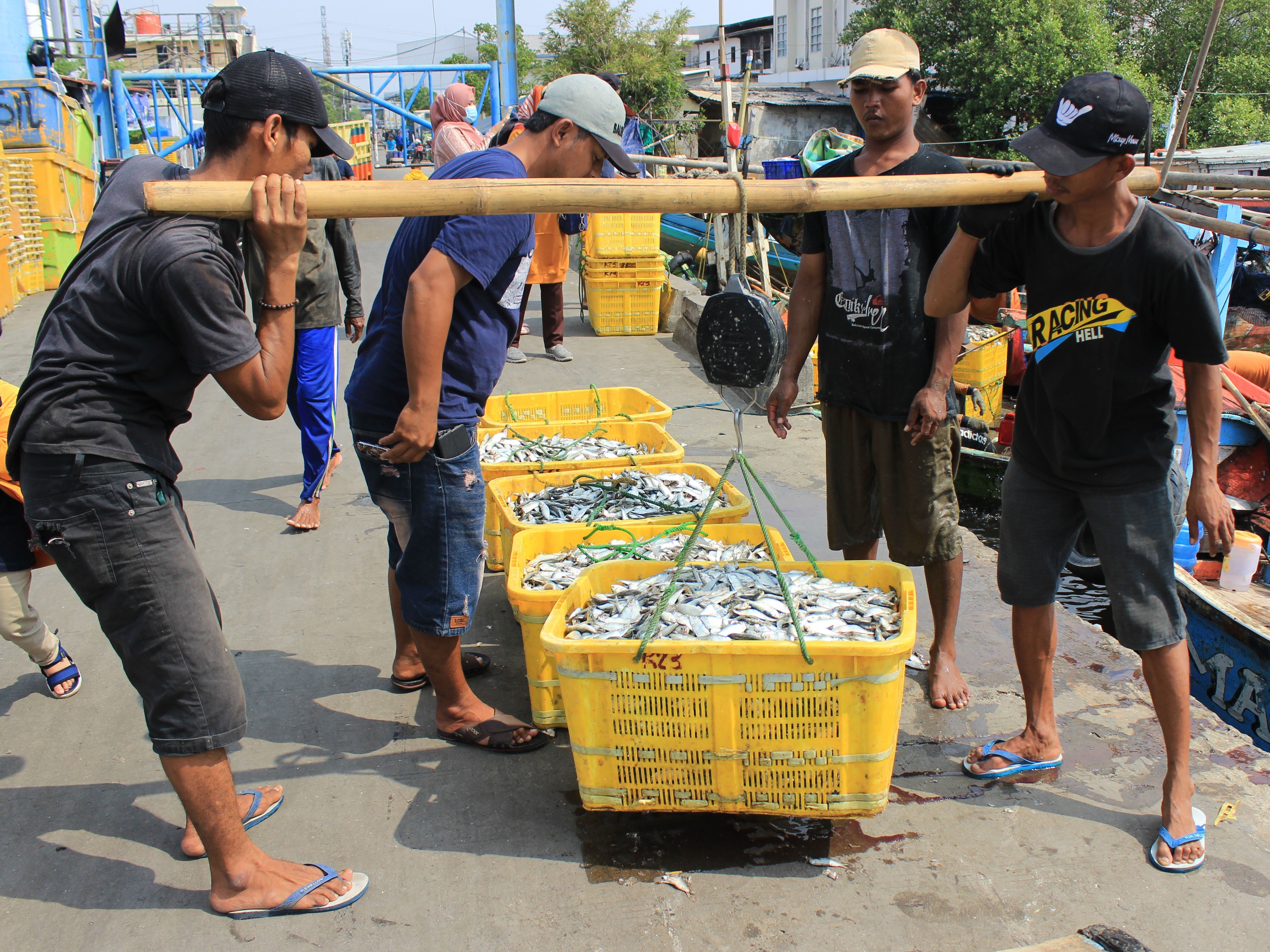 Nelayan menimbang ikan hasil tangkapan di Pelabuhan Muara Angke, Jakarta, Selasa (19/7/2022).
