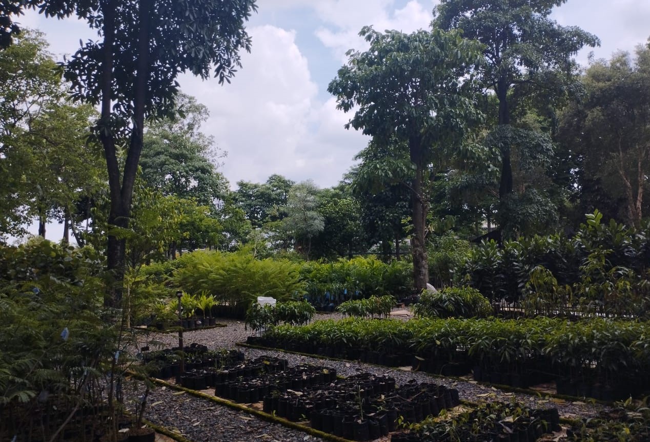 Pusat Pembibitan Tanaman di Djarum Oasis Kretek Factory, Kudus.